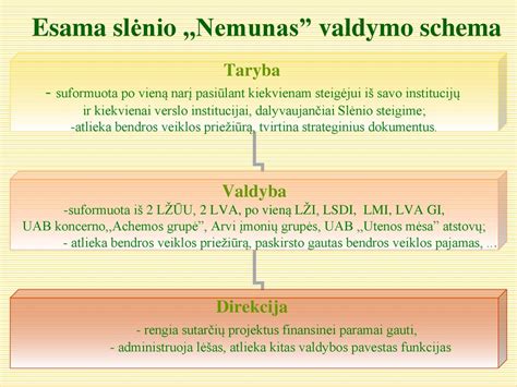 studijų programos schema