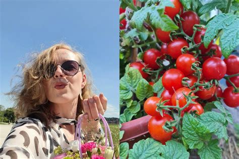 daržovių auginimo kalendorius