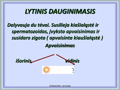 Zigotos dalijimasis ir blastocistos formavimasis