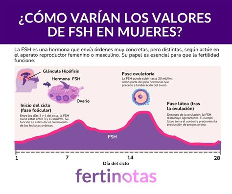 Grafikas su FSH hormono reikšmėmis per menstruacijų ciklą