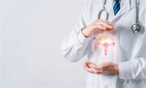 Schematinis moters reprodukcinės sistemos pavaizdavimas su žymimais