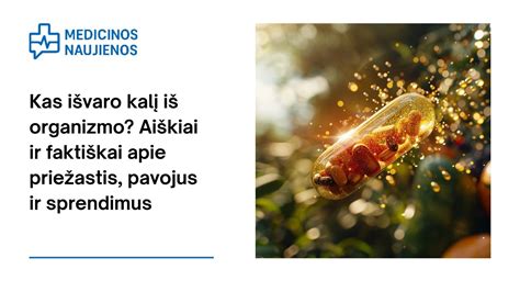 Infografika apie nevaisingumo priežastis ir sprendimus