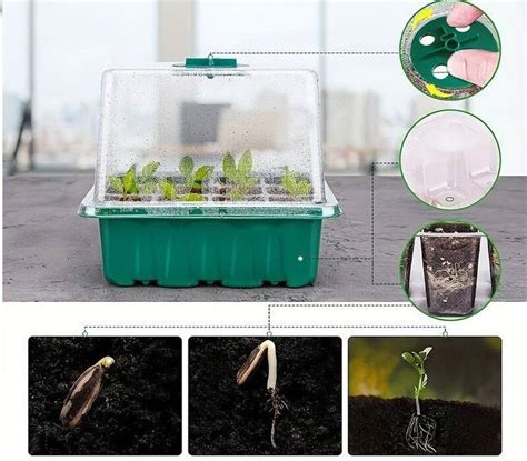 Sėklų pakeliai su auginimo instrukcijomis
