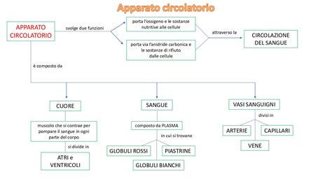 Chirurginio aborto schema