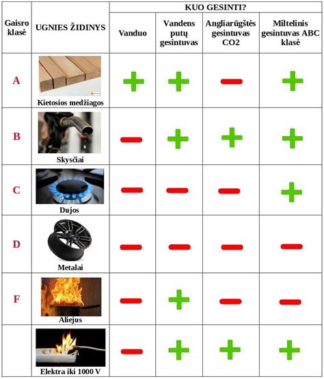 Infografika: Kaip pasirinkti tinkamą darželį