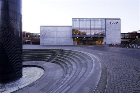 Danijos universitetas