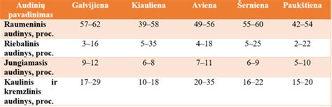 Įvairios gimnastikos rūšys vaikams