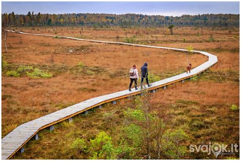Pažintinis takas darželio teritorijoje