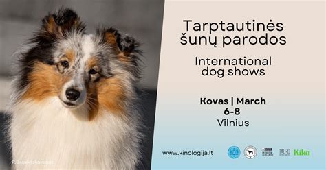 Šunų parodos dalyviai ir žiūrovai