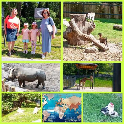 vaikai ekskursijoje į zoologijos sodą