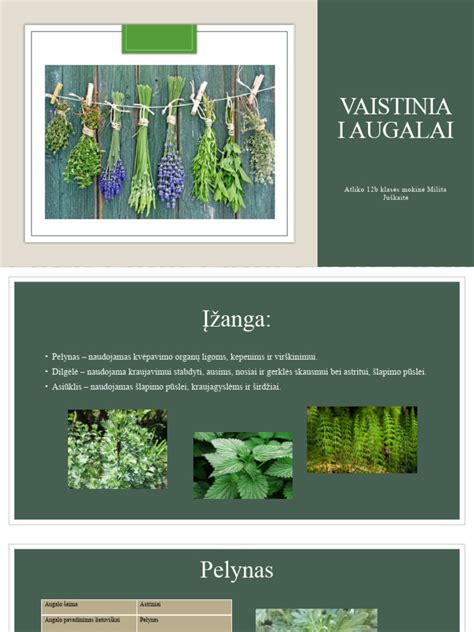 Vaistiniai augalai cukriniam diabetui