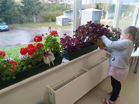 vaikai, sodinantys augalus