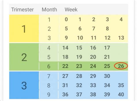 Nėštumo mėnesių ir atitinkamų brangakmenių lentelė