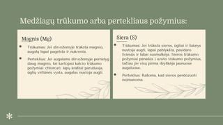 Infografika apie hemoglobino trūkumo ir pertekliaus požymius