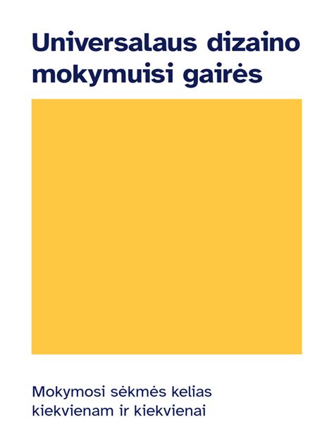 universalaus dizaino mokymosi principai