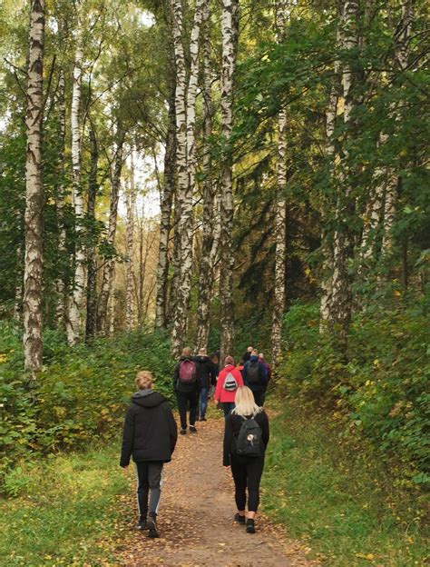 šeima važiuoja dviračiais gamtoje