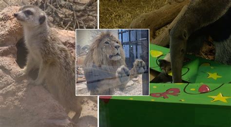 Barselonos zoologijos sodo gyvūnai
