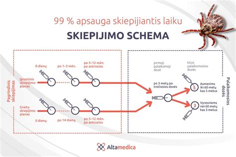 Schema, iliustruojanti vaikų skiepijimo nuo erkinio encefalito schemą