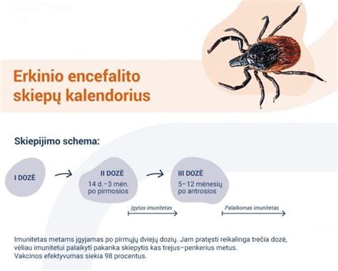 Infografika: Skiepijimo nuo erkinio encefalito schemos vaikams ir suaugusiems