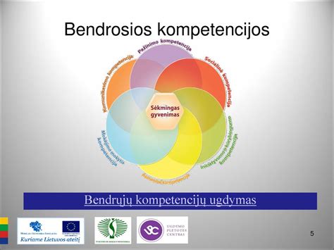 Schema, kaip bendrosios kompetencijos susijusios tarpusavyje
