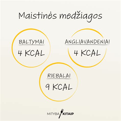 Schema, kaip motinos piene gaminasi maistinės medžiagos