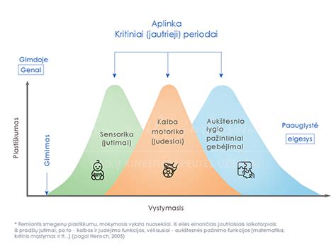 vaiko stuburo vystymosi schema