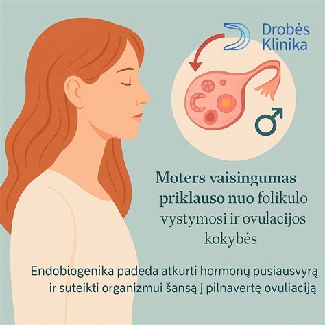 Schematinis vaizdas hormonų poveikio moters organizmui
