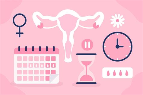 Infografika apie menstruacijų ciklo sutrikimus