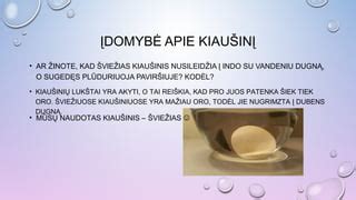 Kiaušinių šviežumo patikrinimas vandeniu