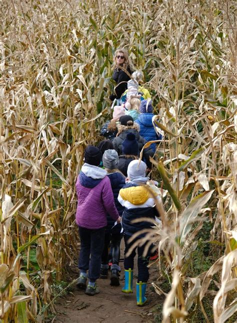 Vaikai žaidžia kukurūzų labirinte