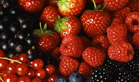 Įvairūs vaisiai ir uogos torto papuošimui