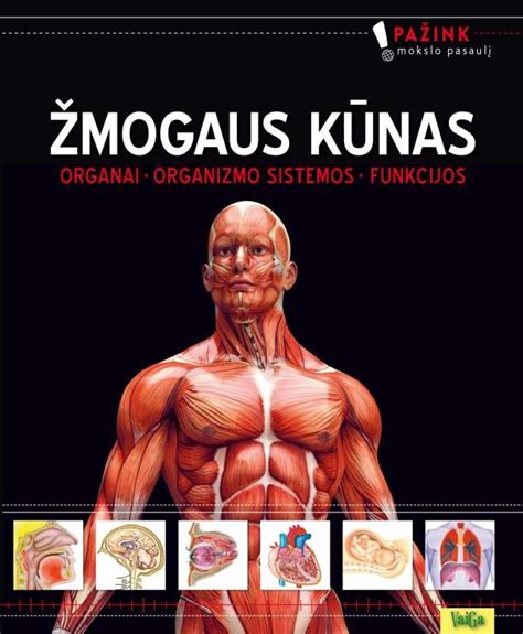 Schematinis žmogaus organizmo vaizdas su pažymėtomis vietomis, iš kurių gali būti imami mėginiai tyrimams (kraujas, šlapimas, išmatos, seilės)