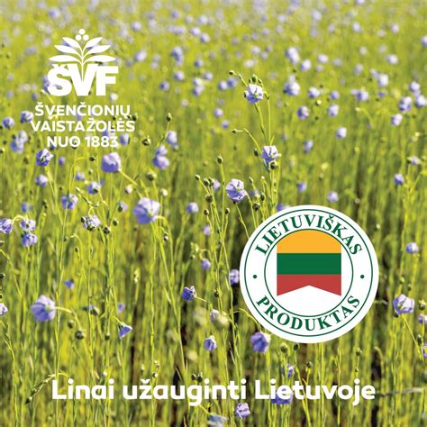 Nuotrauka Švenčionių vaistažolių fabriko