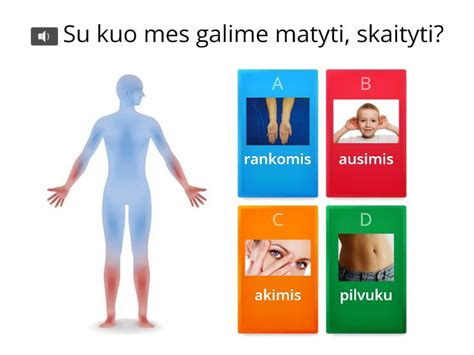 schematinis žmogaus kūno energijos gavimo procesas