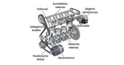 Schema, kaip žindymas veikia vaisingumą