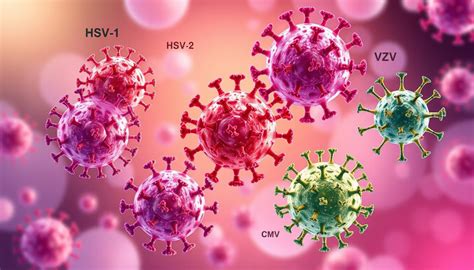 Herpes viruso perdavimas nėštumo metu