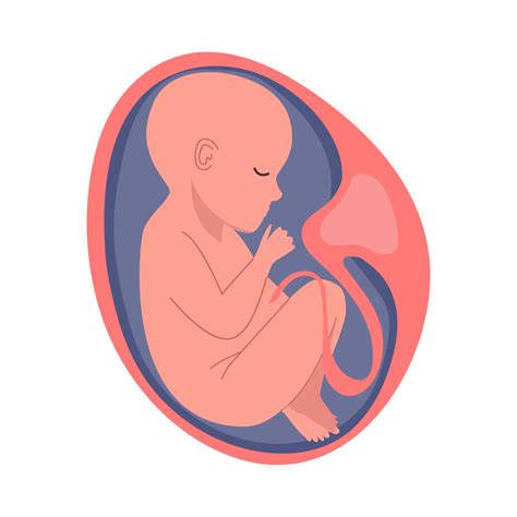 vaisiaus DNR tyrimas