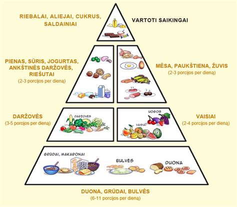Sveikos mitybos piramidė nėštumo metu