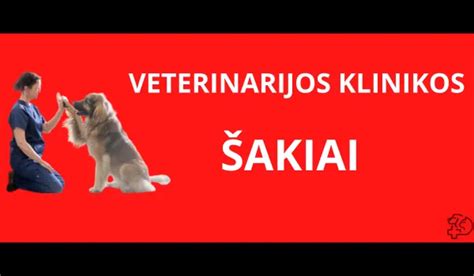Veterinarinės klinikos logotipas ar nuotrauka