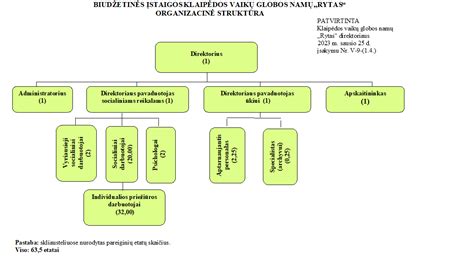 Schema, iliustruojanti socialinės globos namuose procesą
