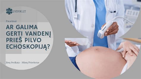 Gyvūno pilvo organų echoskopija