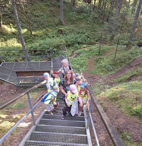 Benzininio keturračio važiavimas miško takeliu