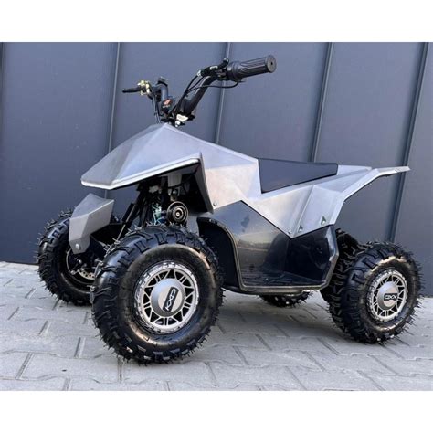 Vaiko vairuojamas elektrinis keturratis pievoje