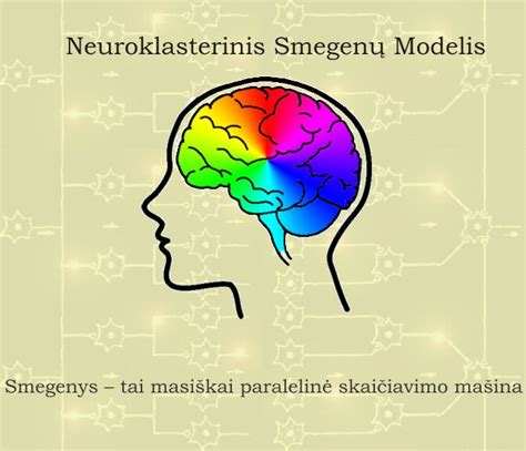 Schematinis vaizdas apie smegenų neurotransmiterius ir antidepresantų veikimą