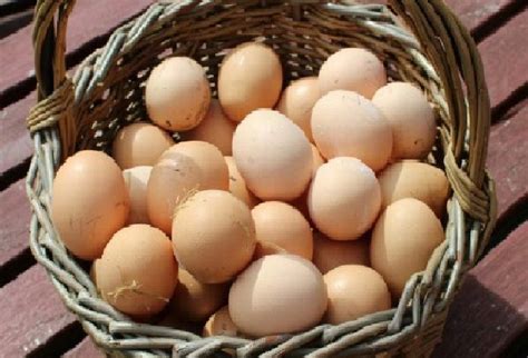 Vaizdas, iliustruojantis kiaušinio maistinę sudėtį