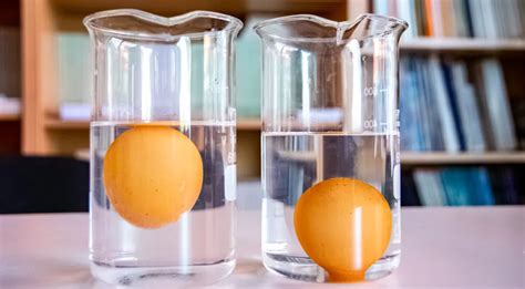 Schema, iliustruojanti, kaip patikrinti kiaušinio šviežumą vandenyje