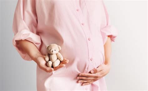 Vaisiaus augimas trimestrais