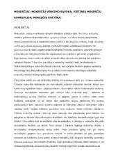 Infografika apie mokesčius