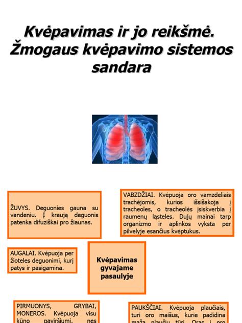 Automatinio prisijungimo pensijų sistemose svarba