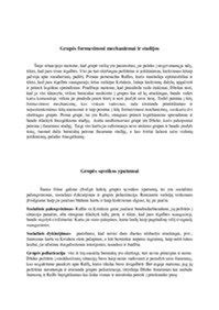 Placentos formavimosi stadijos